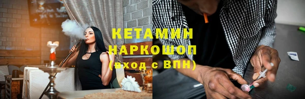шишки Лабытнанги
