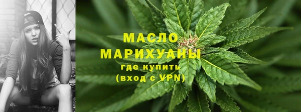 шишки Лабытнанги