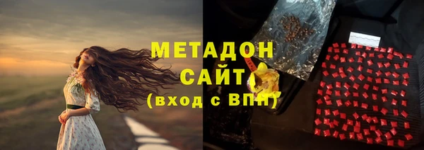 шишки Лабытнанги
