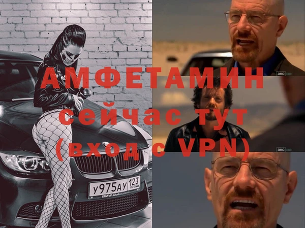 шишки Лабытнанги