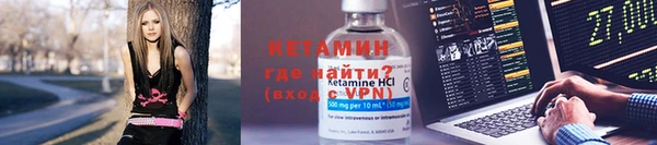 шишки Лабытнанги