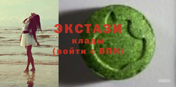 шишки Лабытнанги
