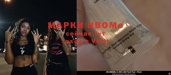 шишки Лабытнанги