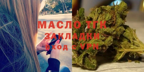 шишки Лабытнанги