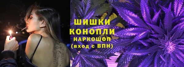 шишки Лабытнанги